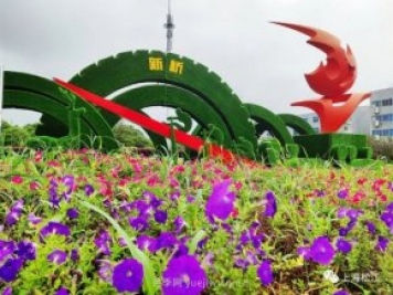 上海松江这里的花坛、花境“上新”啦!特色景观升级!