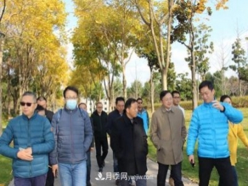 提升城市园林绿化，苏州向上海学什么？